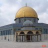 Фото профиля النسر المصري