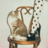❤︎ profil fotoğrafı