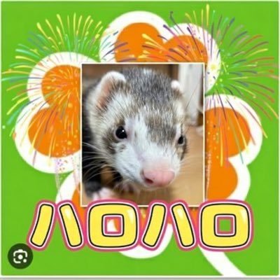 MuSaSaViAnCho86's profile picture