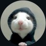 Profilbild von ahgoy