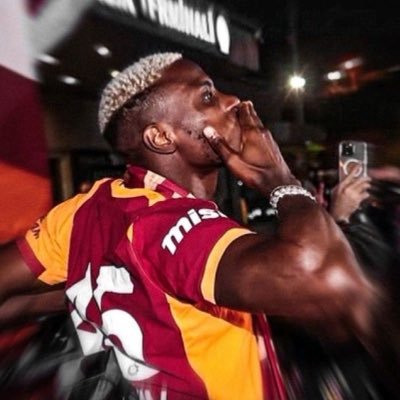 alp's profile picture