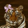 Sihle profil fotoğrafı