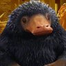 Фото профиля Niffler’s Revenge