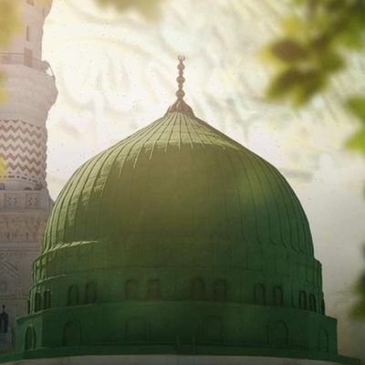 اســـیرانِ قفـــس | Iserani Qafs's profile picture