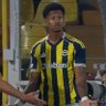 Фото профиля fener