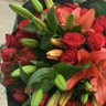 Filiz Eser's profile picture