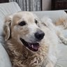 Profilbild von COOPER