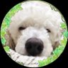ãŸãã's profile picture
