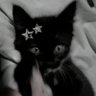 🐈⬛ profil fotoğrafı