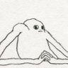 adalante's profile picture