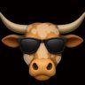 Bull By The Horn 的头像