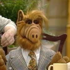 Wayne Schlegel's profile picture