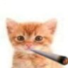 Profilbild von Tdawg