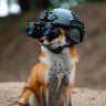Mr. Alpenfuchs profil fotoğrafı
