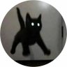 Zeph's profile picture