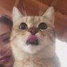 duru profil fotoğrafı