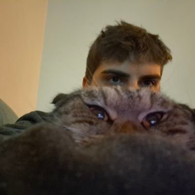 benbahayim's profile picture