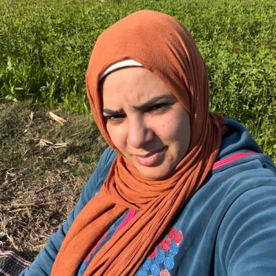 amlmys6065's profile picture