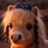 Фото профиля Tiny Jewish Horse