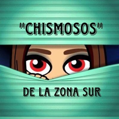 chismosos de la zona sur's profile picture
