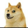 Kavi's profile picture