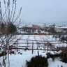 Dardar profil fotoğrafı