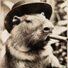 Profilbild von Regis