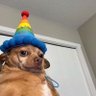 makaveli's profile picture