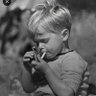 Mac William Rollo profil fotoğrafı