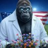 Dr Harambe's Ghost 的头像