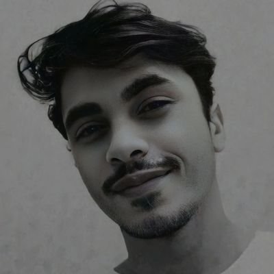 stefan's profile picture