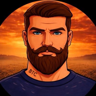 The ₿itcoin Therapist's profile picture