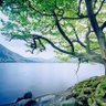 Фото профиля Scenic Nature
