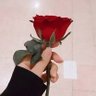 Abeer's profile picture