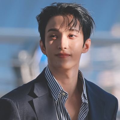 Hann (dkshine)'s profile picture