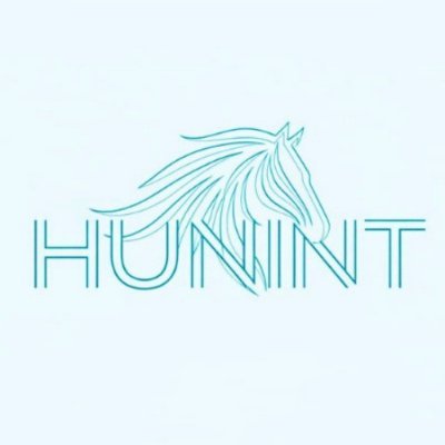 hunintX's profile picture