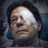 Wounded Lion 的头像