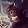 Profilbild von Tammy Smith