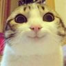 Profilbild von MR_PUUS