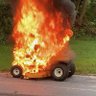 charcoalandmowers 的头像