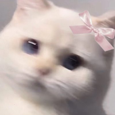 l99707I5's profile picture