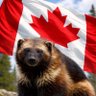 Canadian Wolverine 的头像