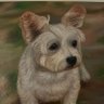 Charles RS76's profile picture