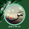 Profilbild von 👤ڛۜـ؏ـد 🇸🇦🐪