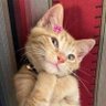 มุ้มุ้'s profile picture