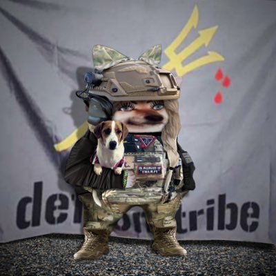 NAFO_trinzu🇪🇪❤️🇺🇦🔱🦉's profile picture