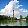 Alisher Maxmudov profil fotoğrafı