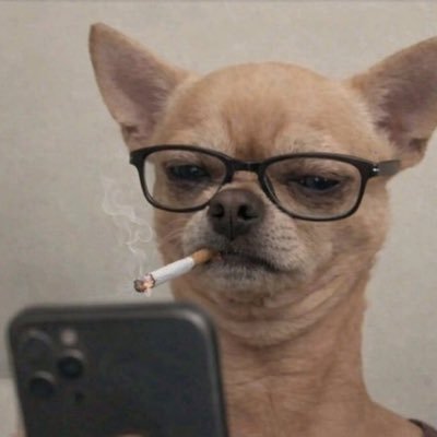 Uncharted Operations's profile picture