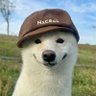 exor 🫥's profile picture