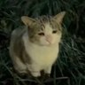 𝓞𝓸𝓼𝓴𝔂 (🎾&🌌&🔮&😈)'s profile picture